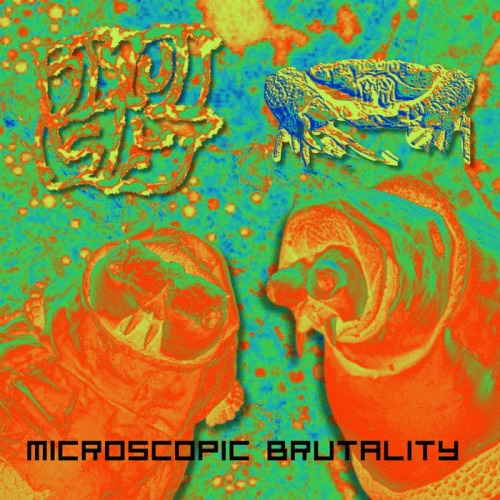 Biscuitslut : Microscopic Brutality